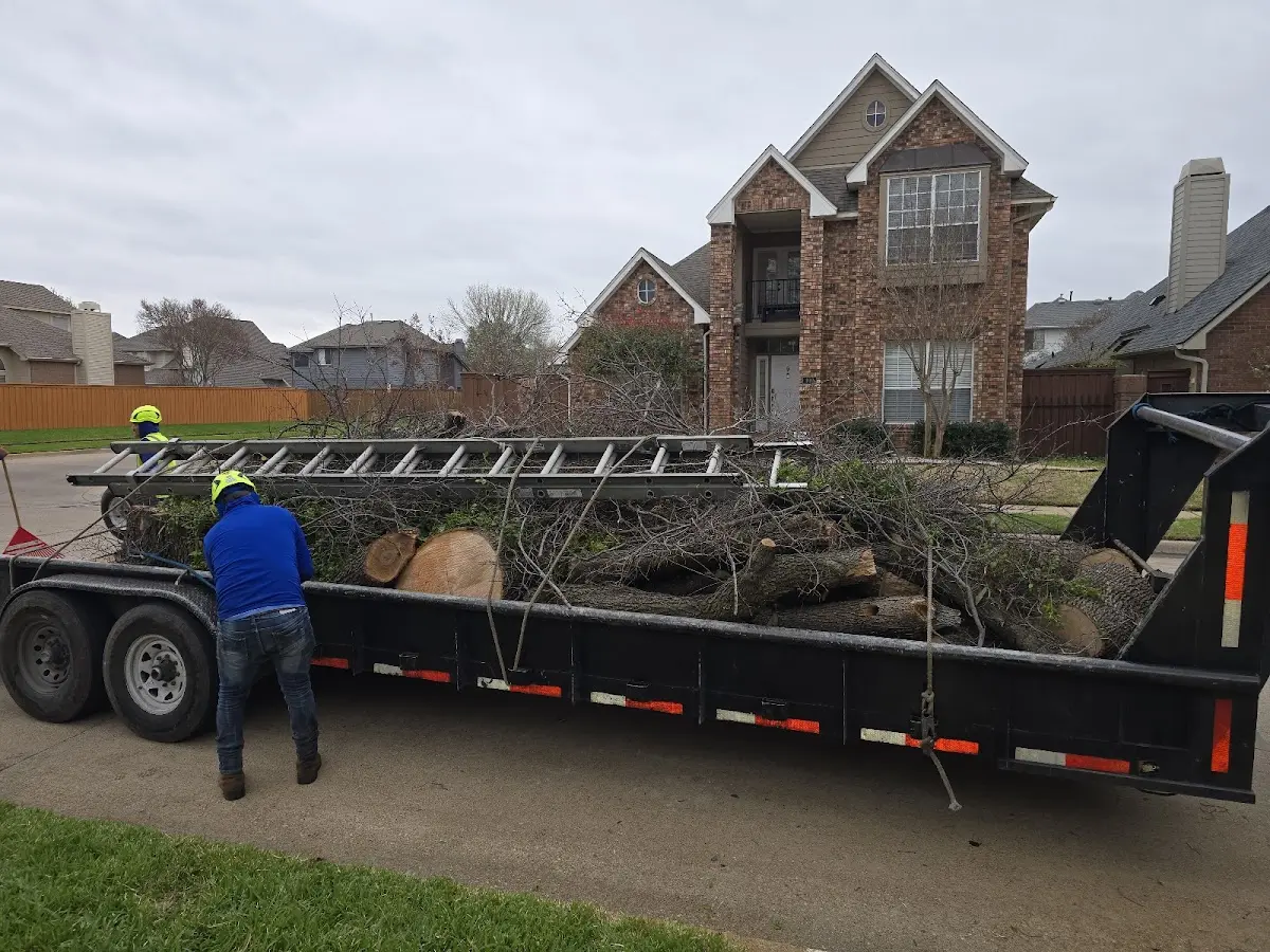 Expert Tree Removal with proper safety equipment in Huntington Station
